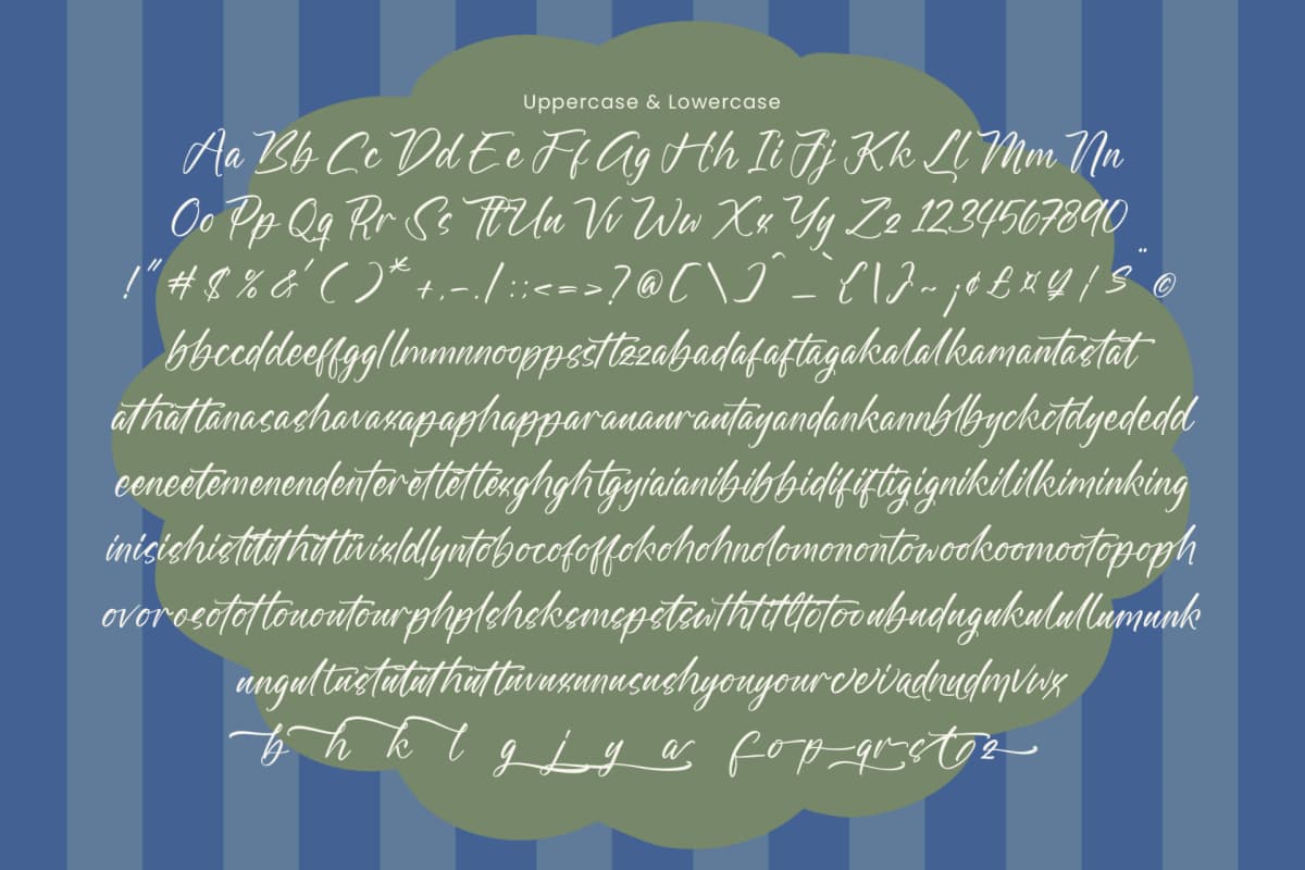 Floral Wish - Modern Handwritten Font font preview 18