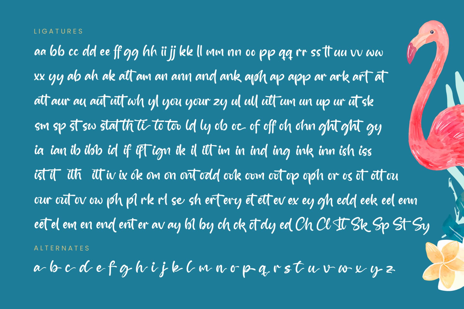 Preview 19 for Skyetos Cliplist - Bold Handwritten Font