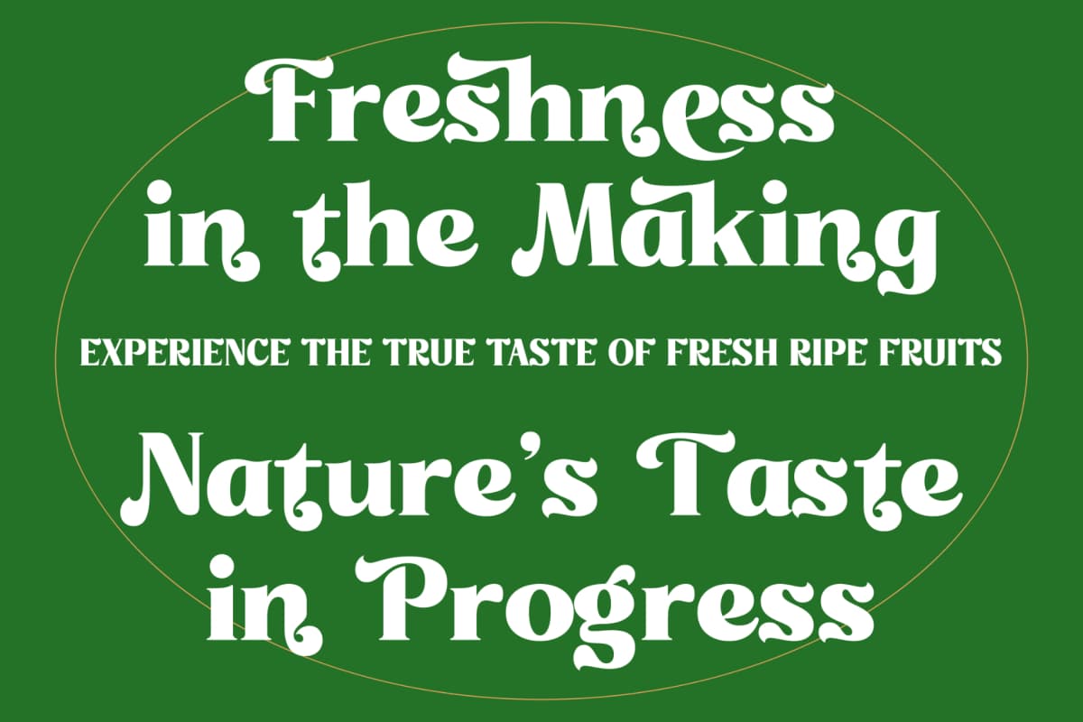 Misago Sweet - Retro Serif Vintage Display Font font preview 4