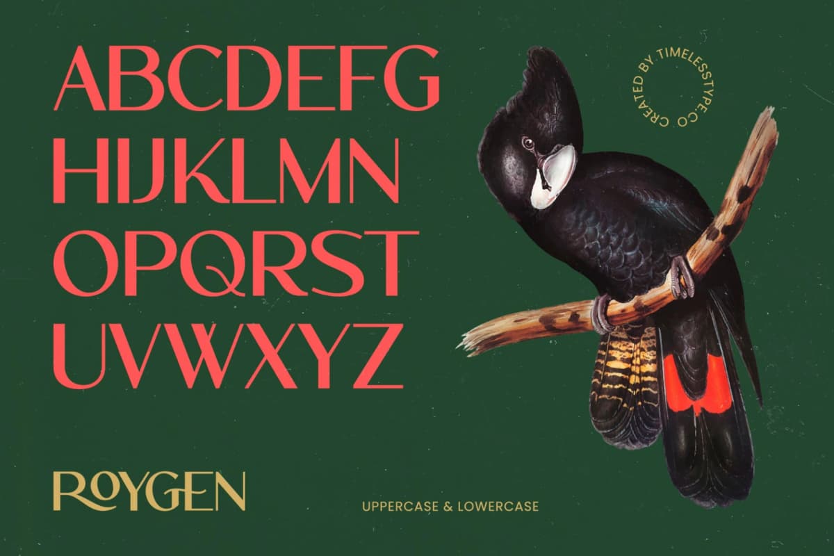 Preview 6 for Roygen – Elegant Sans Serif Display