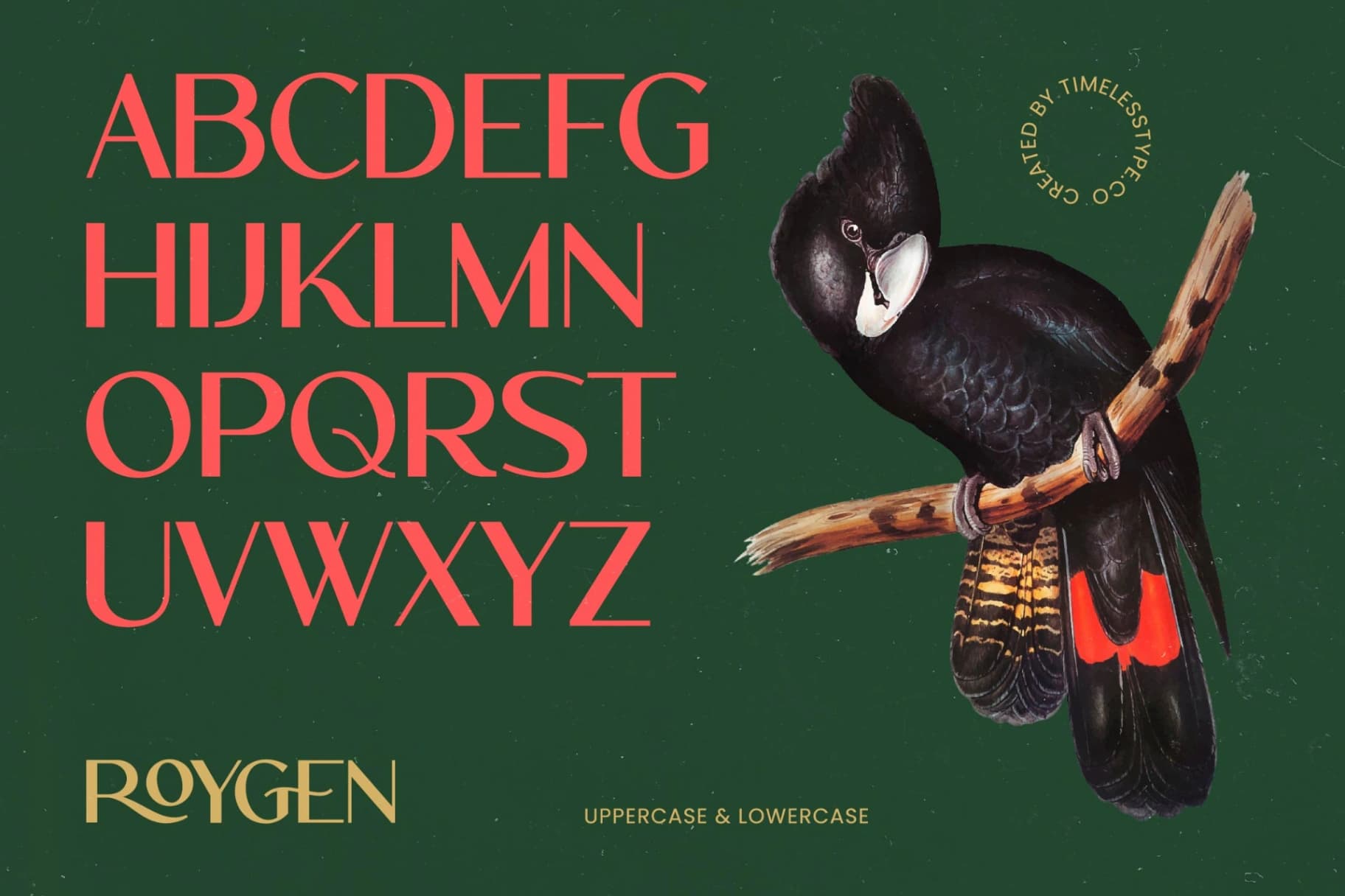 Preview 6 for Roygen – Elegant Sans Serif Display