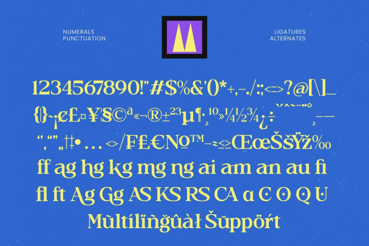 Cubic Ranger – Serif Display Font font preview 14