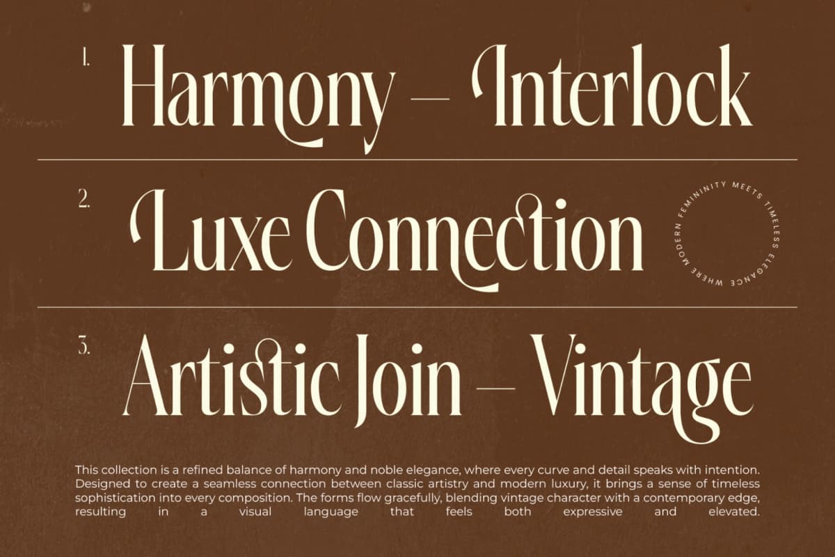 Silkigfined – Elegant Luxury Serif Typeface font preview 11