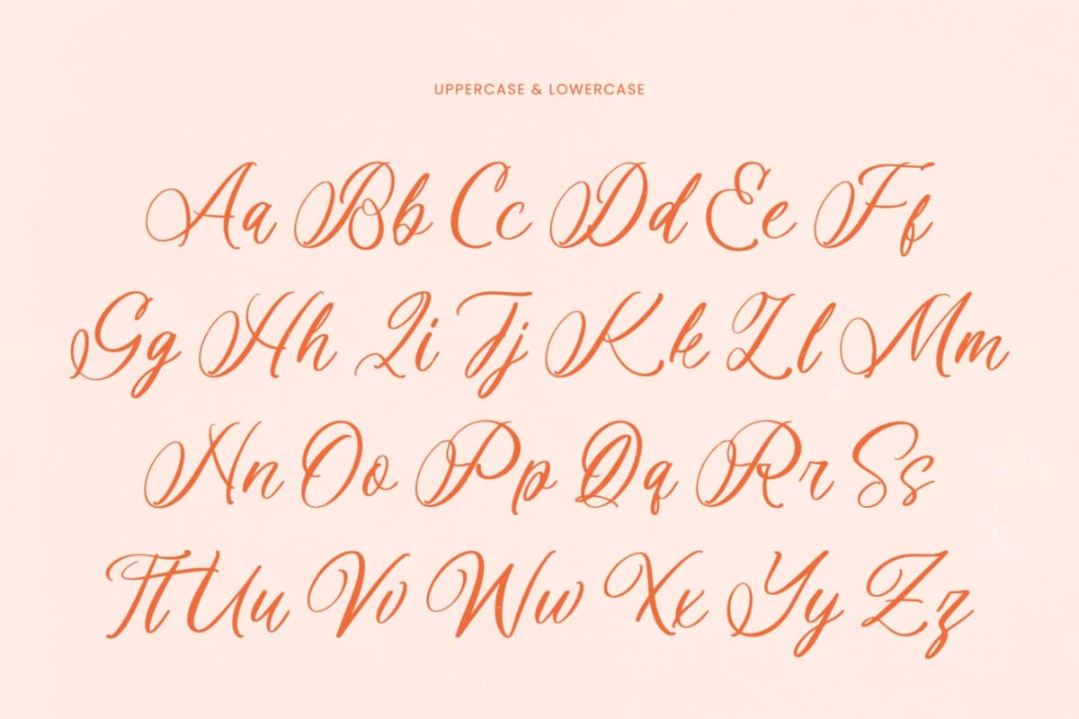 Preview 5 for Denieda Marceline – Bold Calligraphy Font