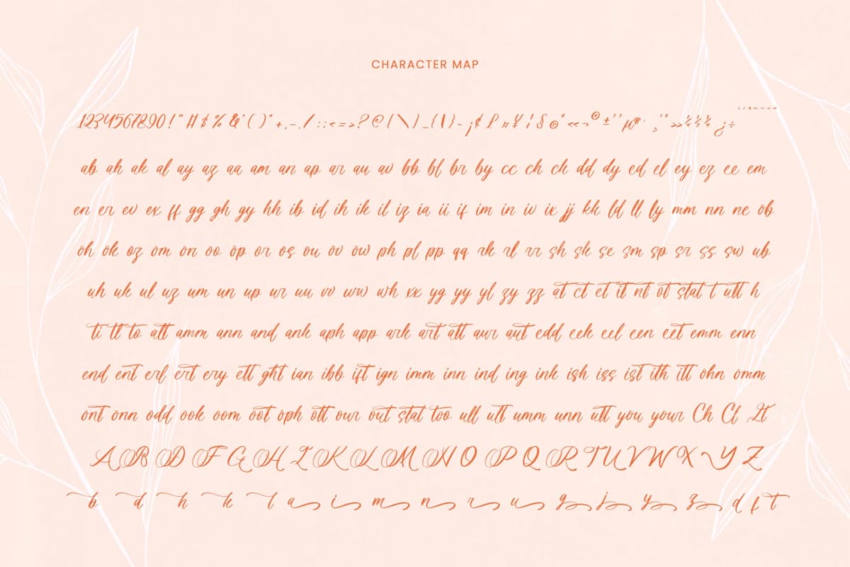 Denieda Marceline – Bold Calligraphy Font font preview 14