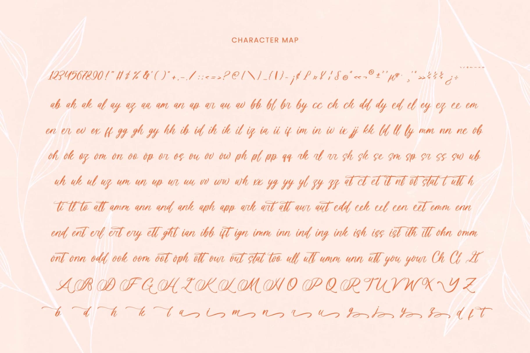 Preview 14 for Denieda Marceline – Bold Calligraphy Font