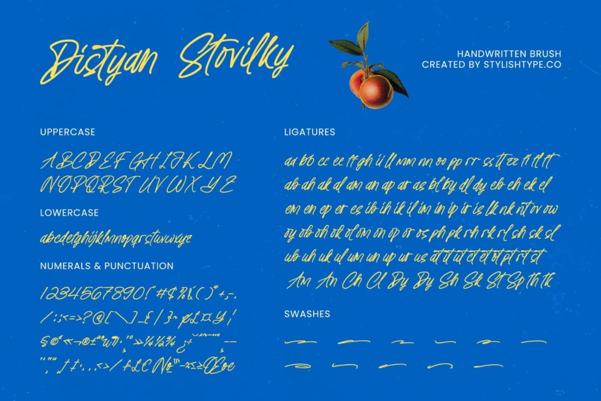 Distyan Stovilky – Handwritten Brush font preview 8
