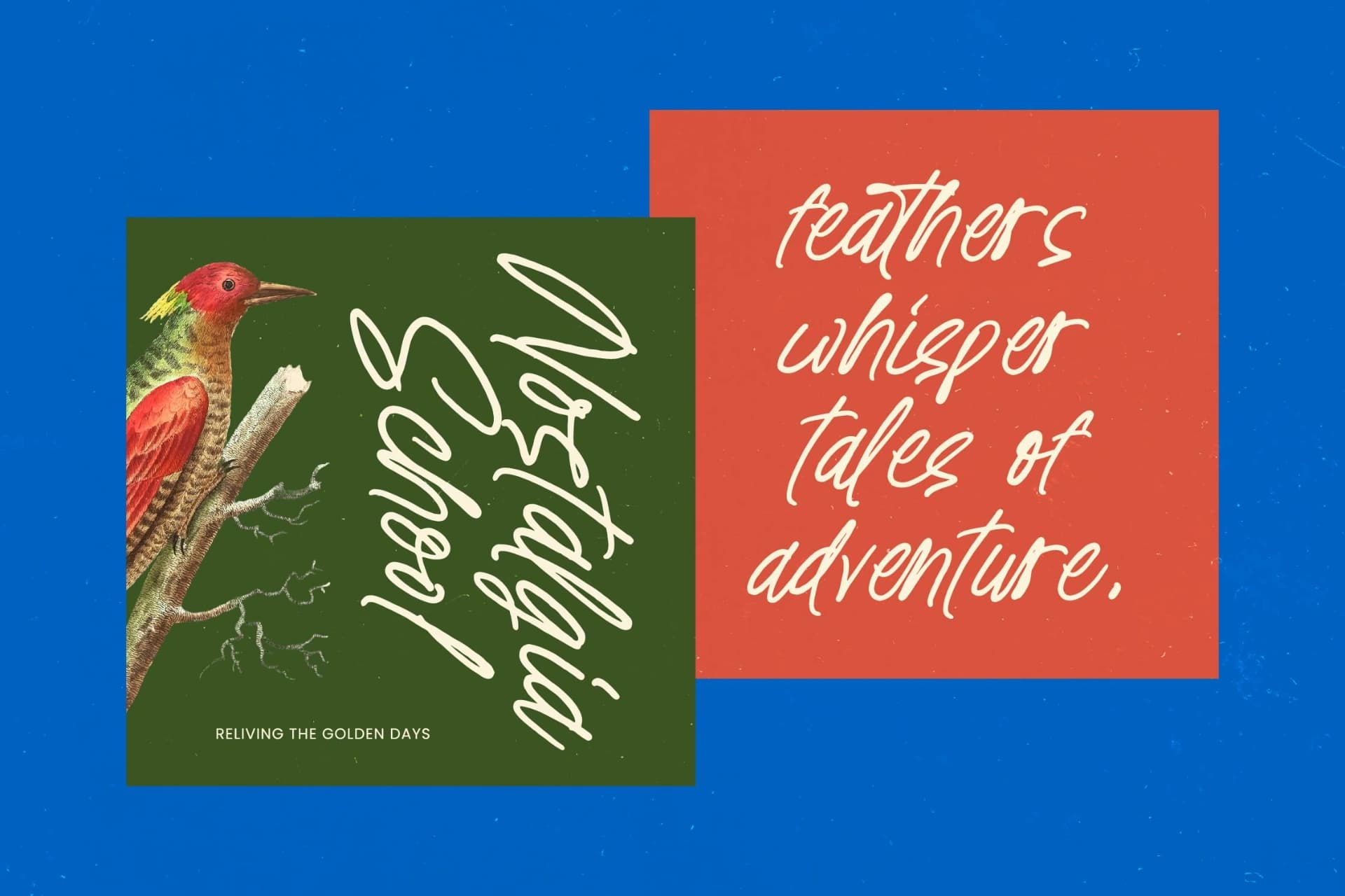 Preview 9 for Distyan Stovilky – Handwritten Brush