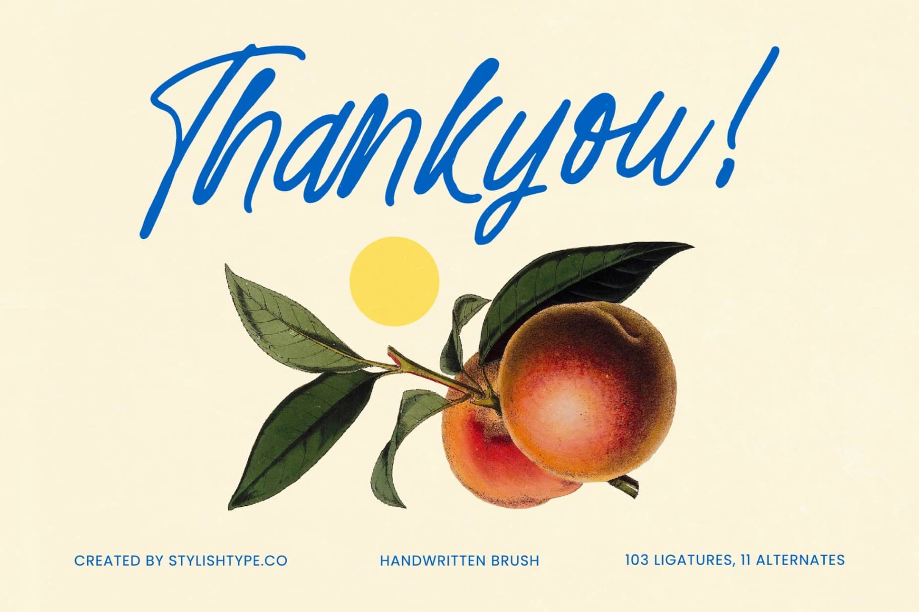Preview 15 for Distyan Stovilky – Handwritten Brush