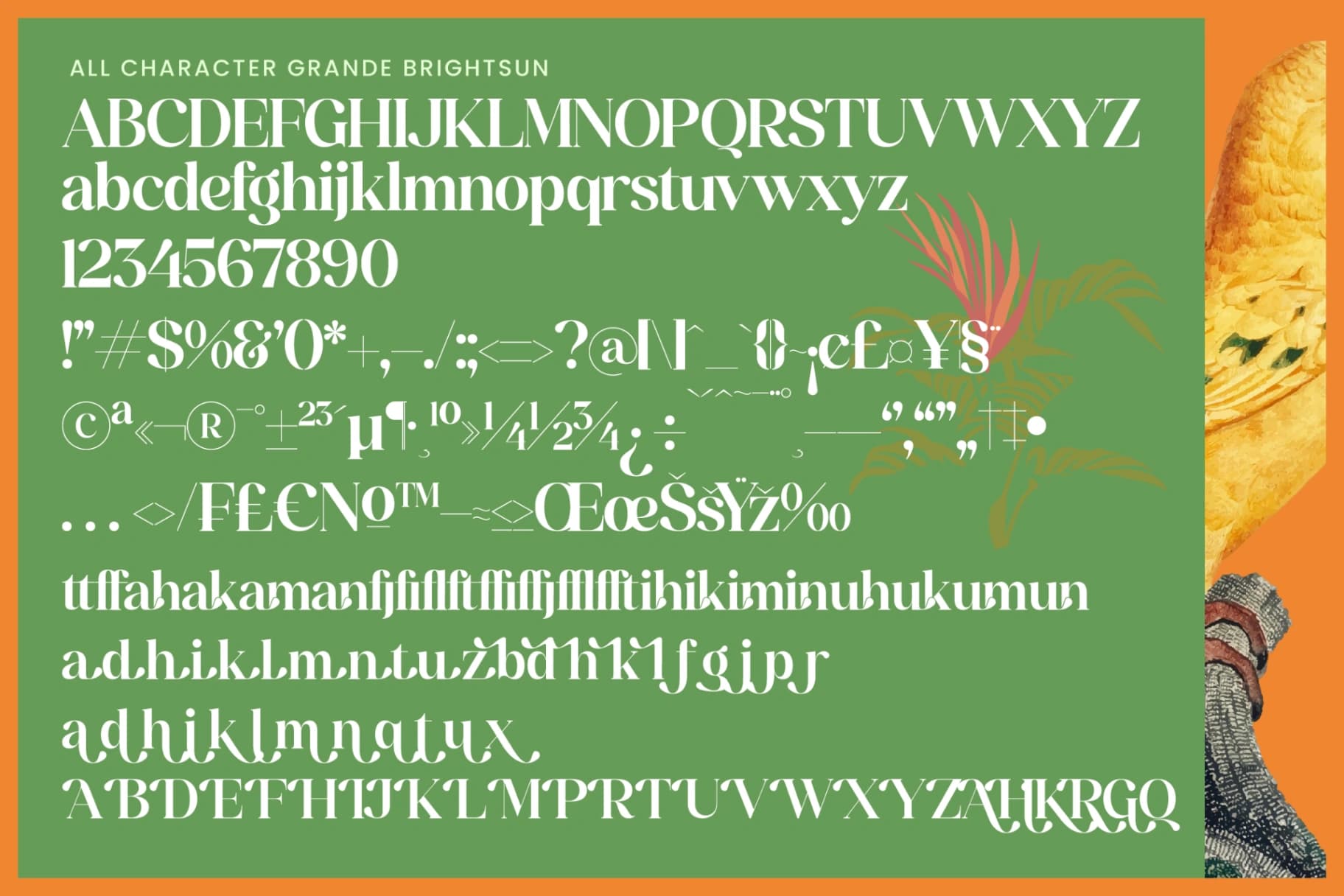 Preview 14 for Grand Highland – Modern Serif Font