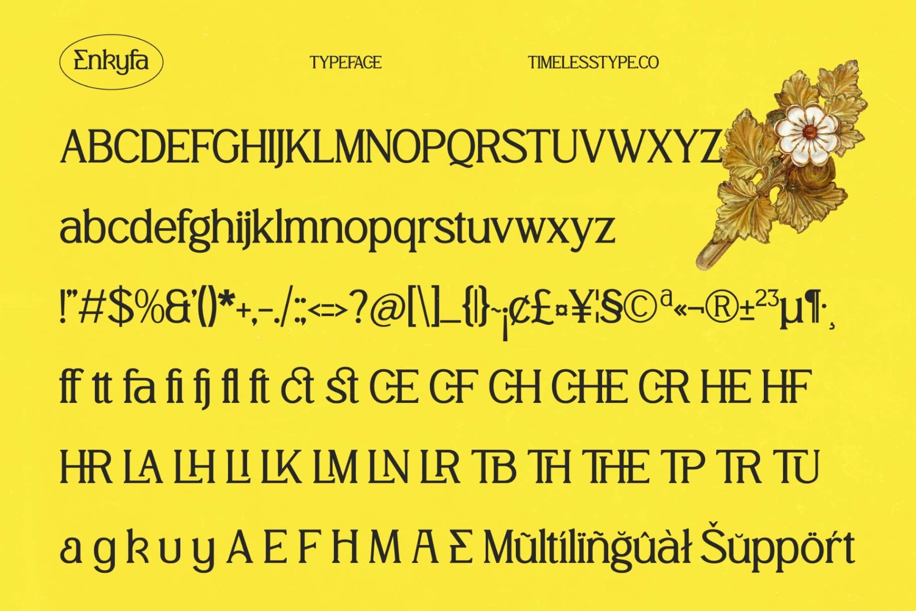 Preview 14 for Enkyfa – Serif Display Typeface