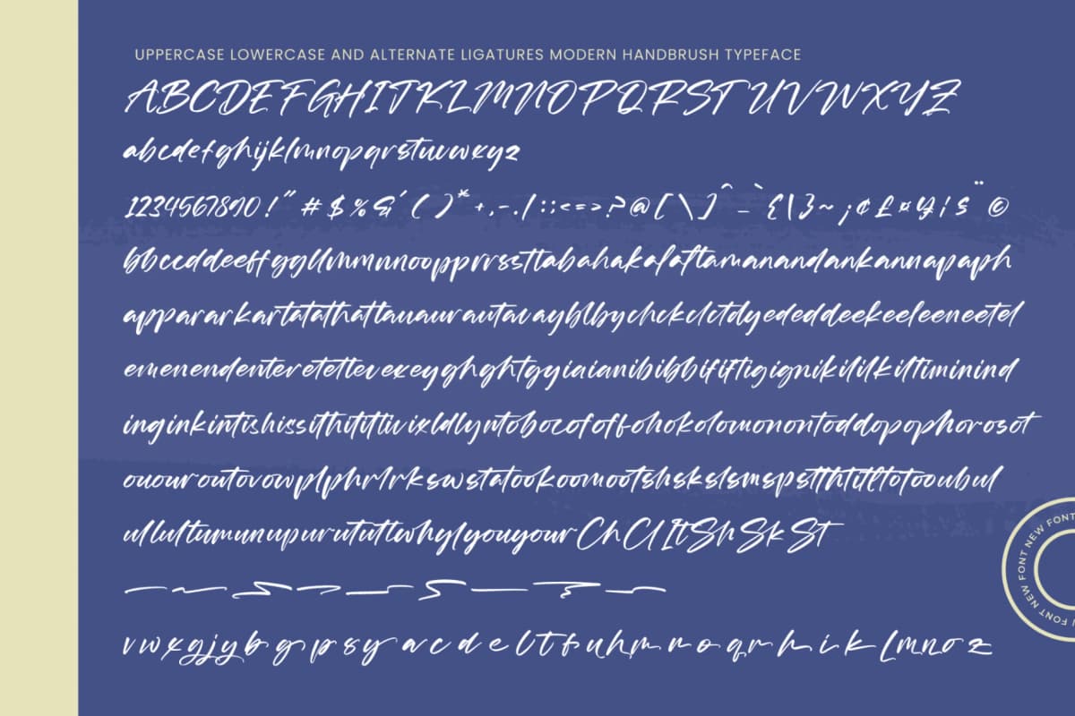 Starligh Timber – Modern Handbrush Script font preview 14