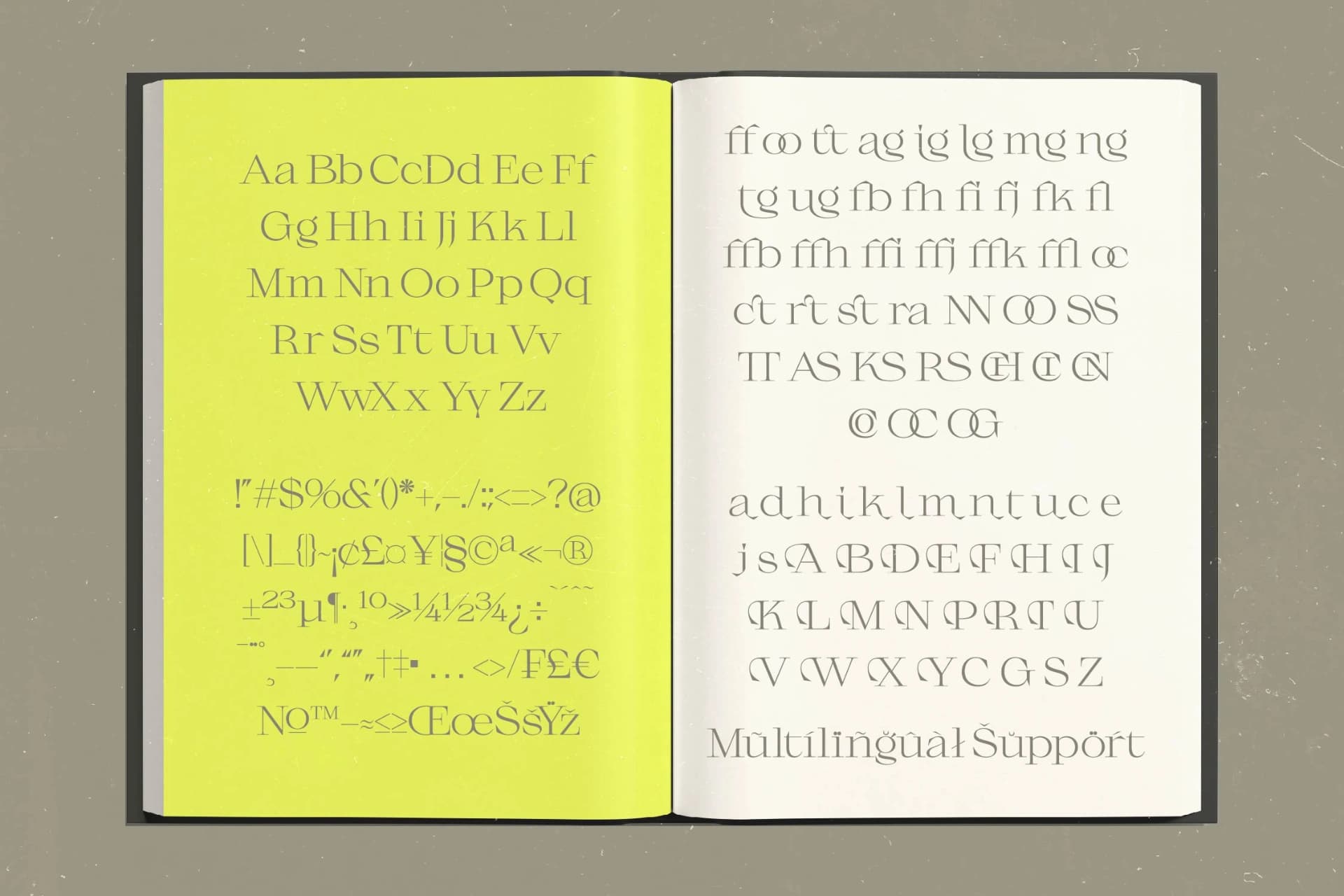 Preview 14 for Gafloc – Thin Serif Display