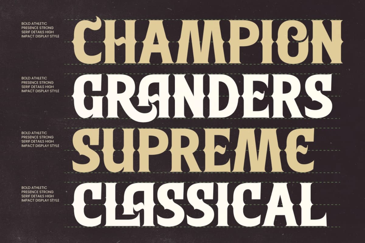 Southern Baseball - Retro Athletic Serif Display font preview 8