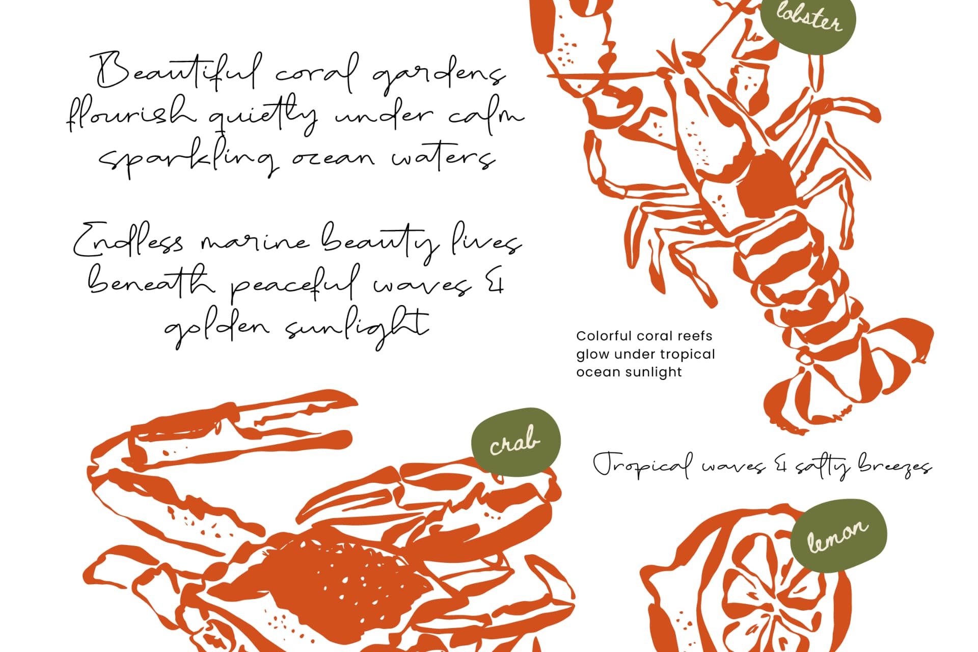 Preview 12 for Taste Juicy Scribbles - Organic Handwritten Display