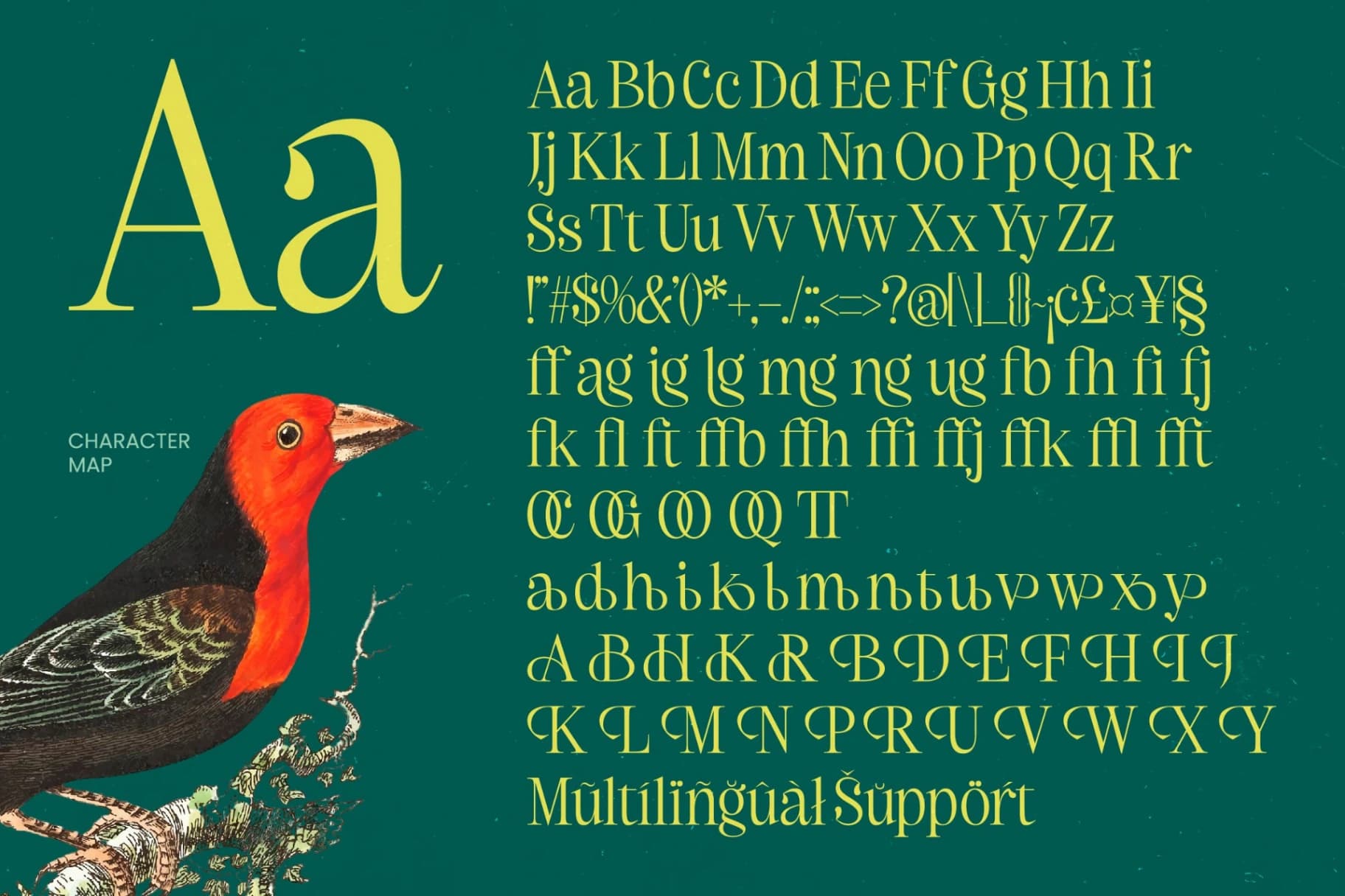 Preview 14 for Refika Mughy – Thin Serif Display