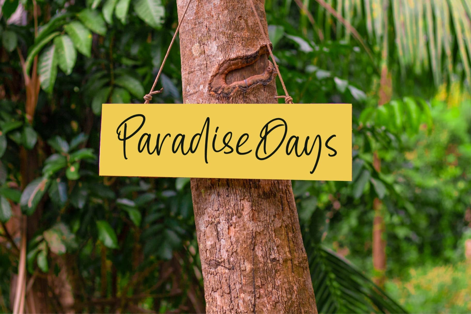 Preview 3 for Pastelswirl - Casual Handwritten Script Font