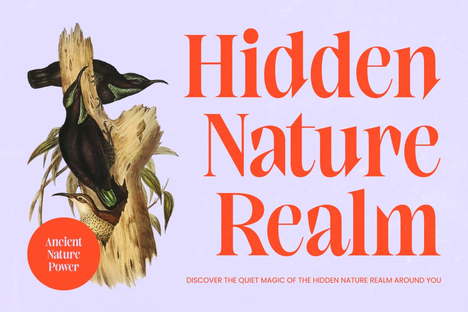 Preview 9 for Elinkos - Bold Tall Serif