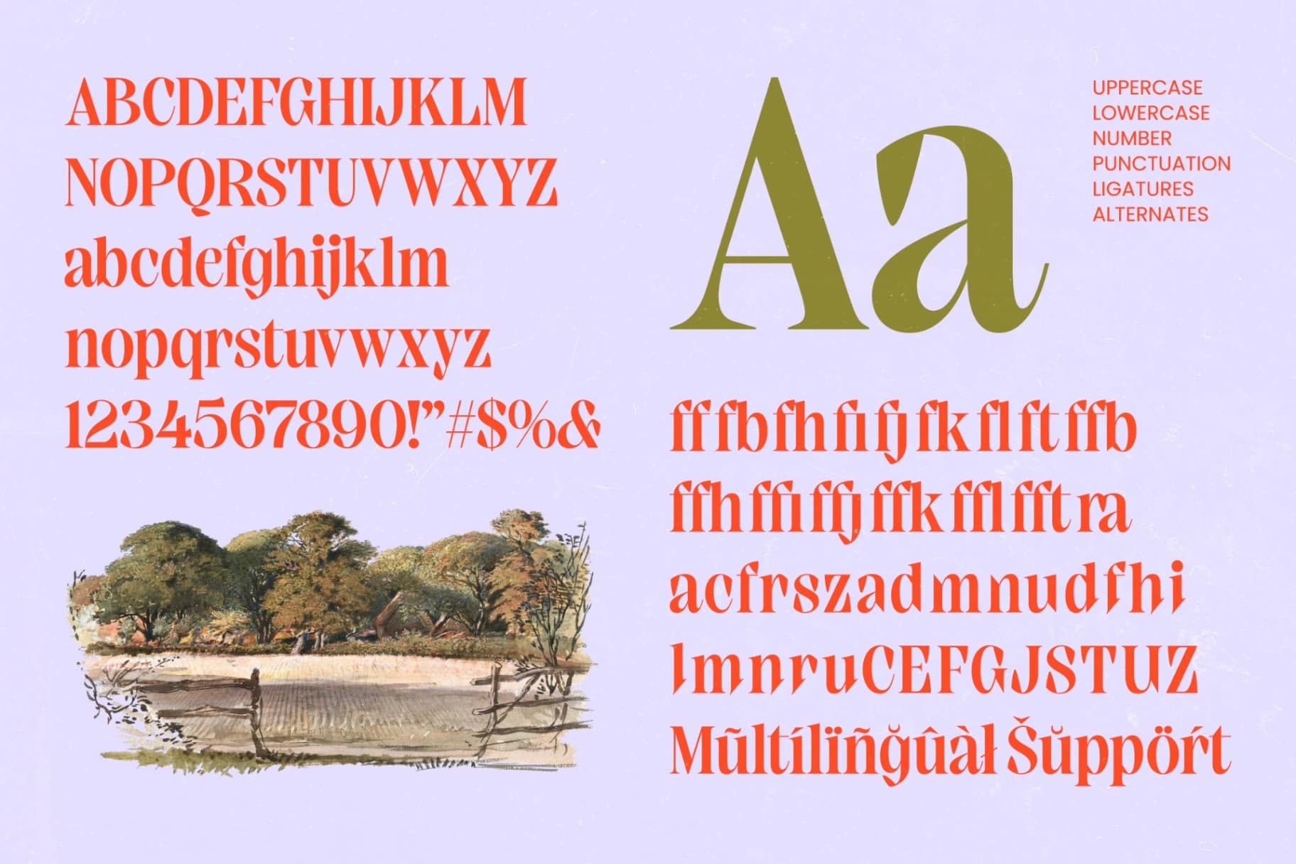 Preview 6 for Elinkos - Bold Tall Serif