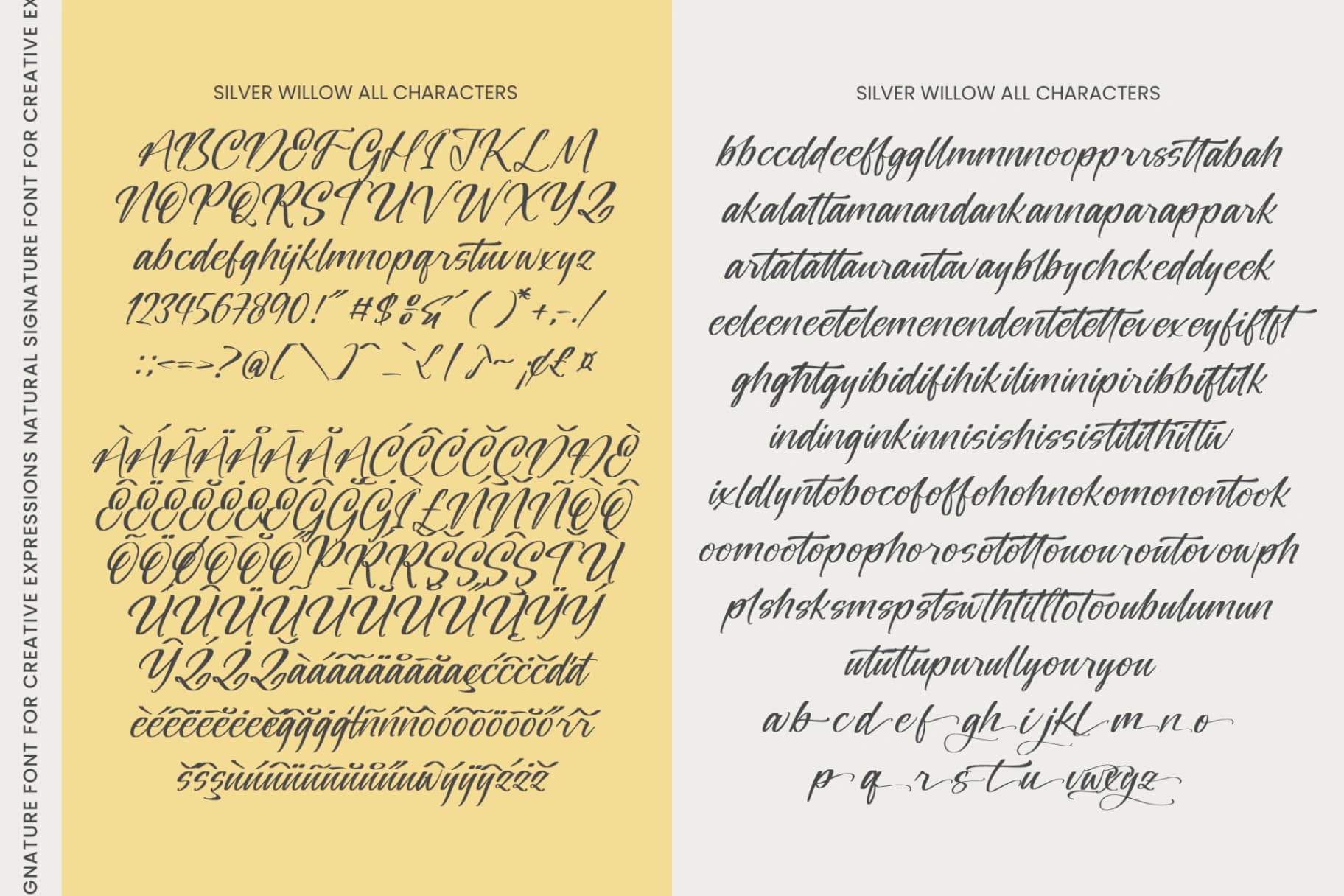 Preview 10 for Silver Willow - Natural Signature Font
