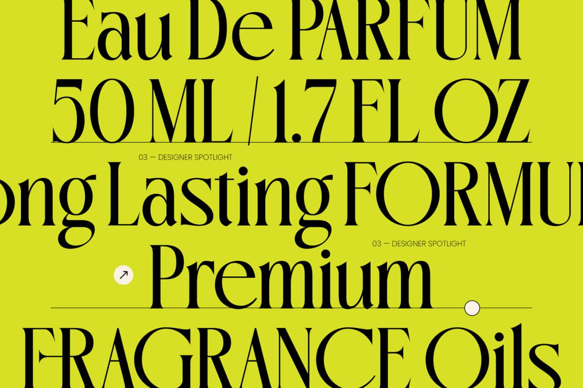 Oligierky - Modern Editorial Serif font preview 8