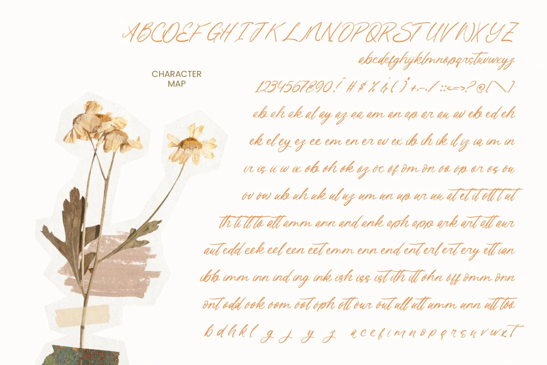 Preview 6 for Journal Something - Handwritten Ink Font