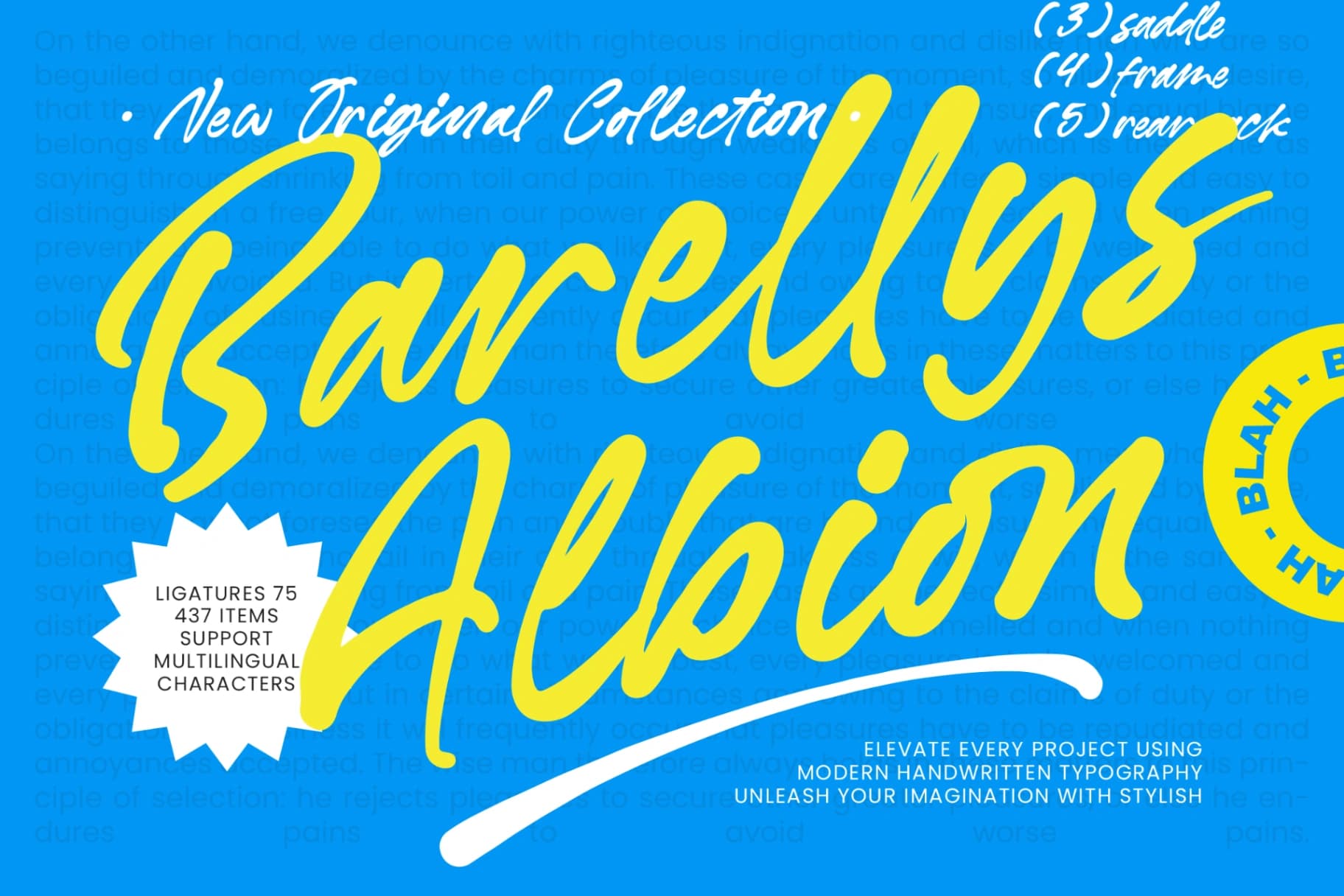 Preview of Barellys Albion - Modern Handwritten Typography font