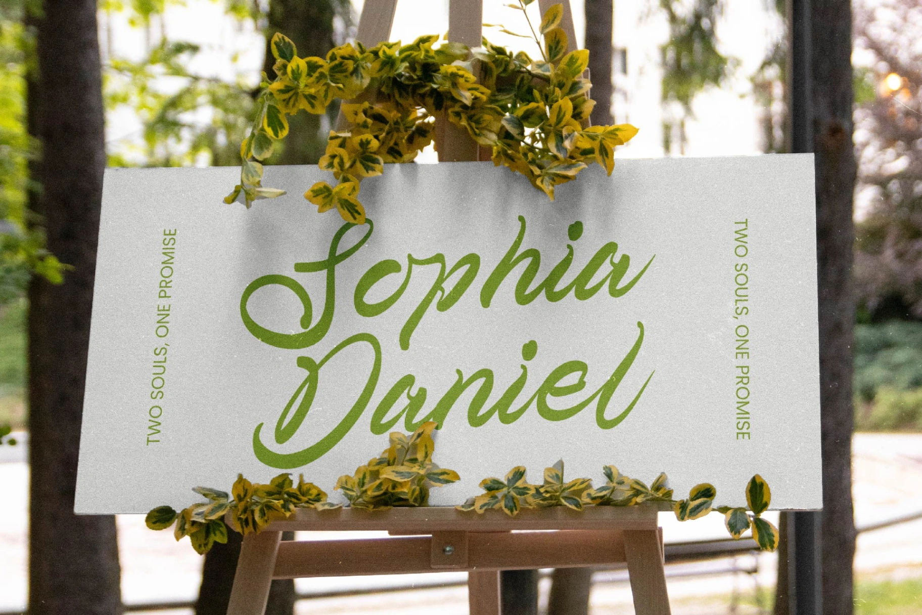 Preview 10 for Telmi Bonsha - Elegant Brush Script