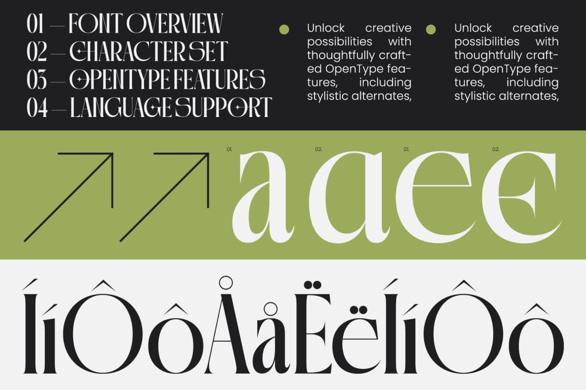 Qalories - Modern Serif Display font preview 5