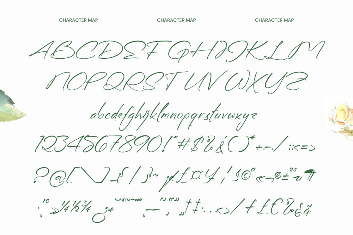 Diffe Rentys - Romantic Handwritten font preview 9