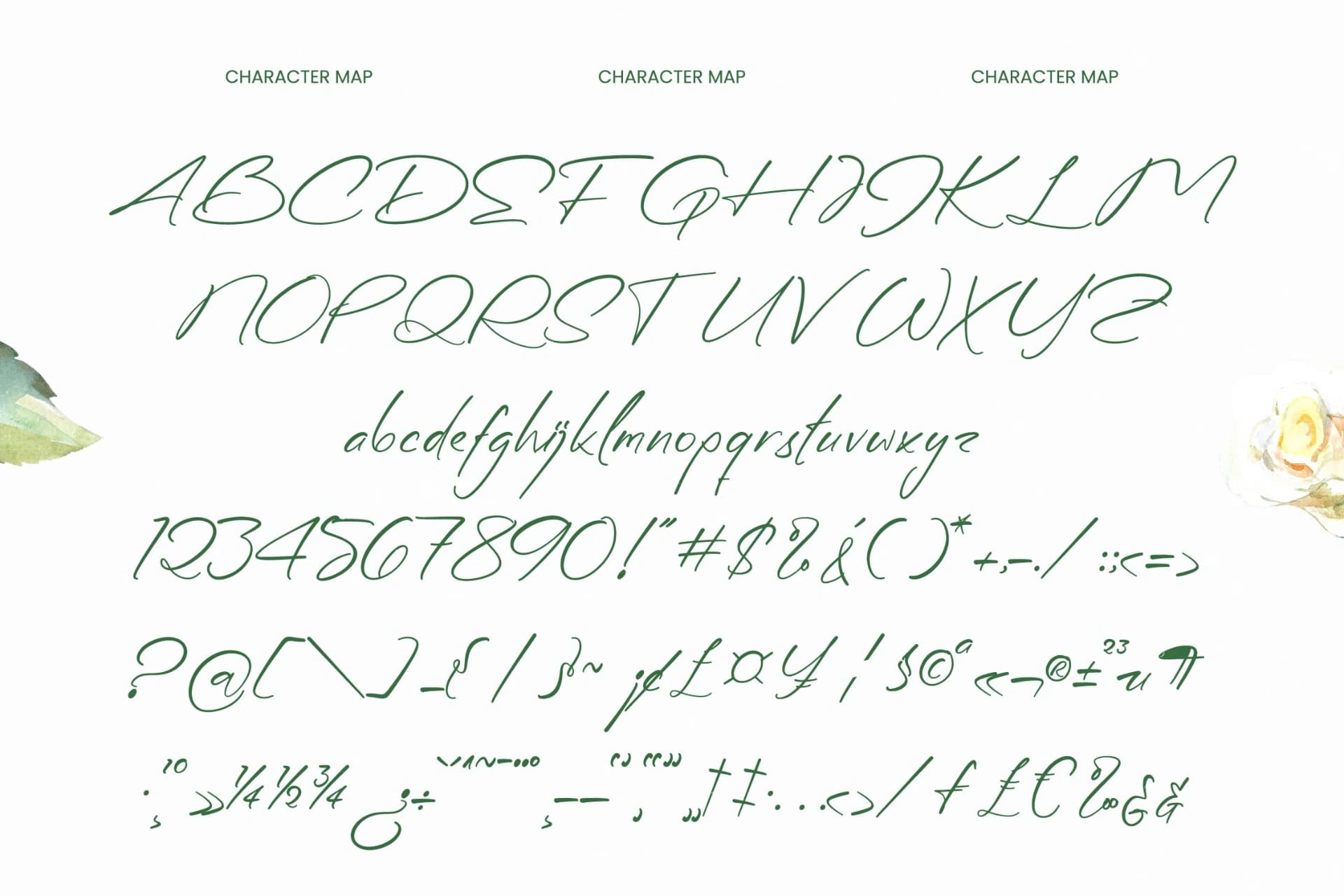 Preview 9 for Diffe Rentys - Romantic Handwritten