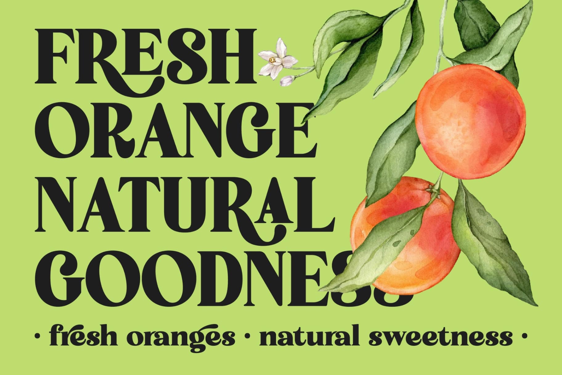 Preview 6 for Forest Wonders - New Collection Serif