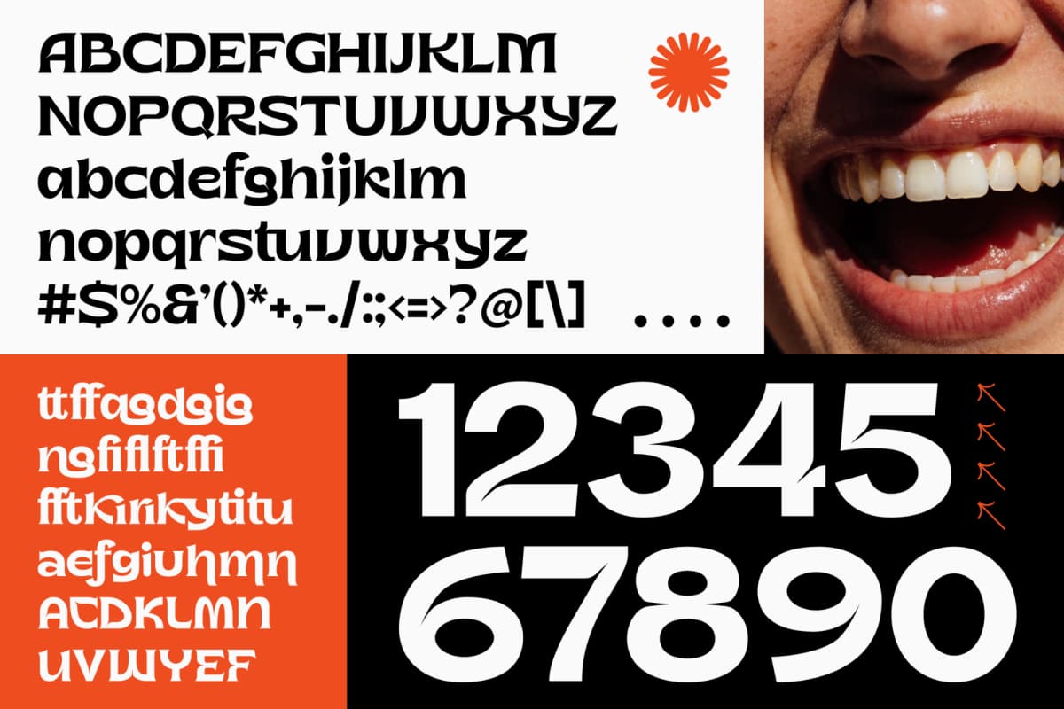 Metika - Display Bold Serif font preview 10