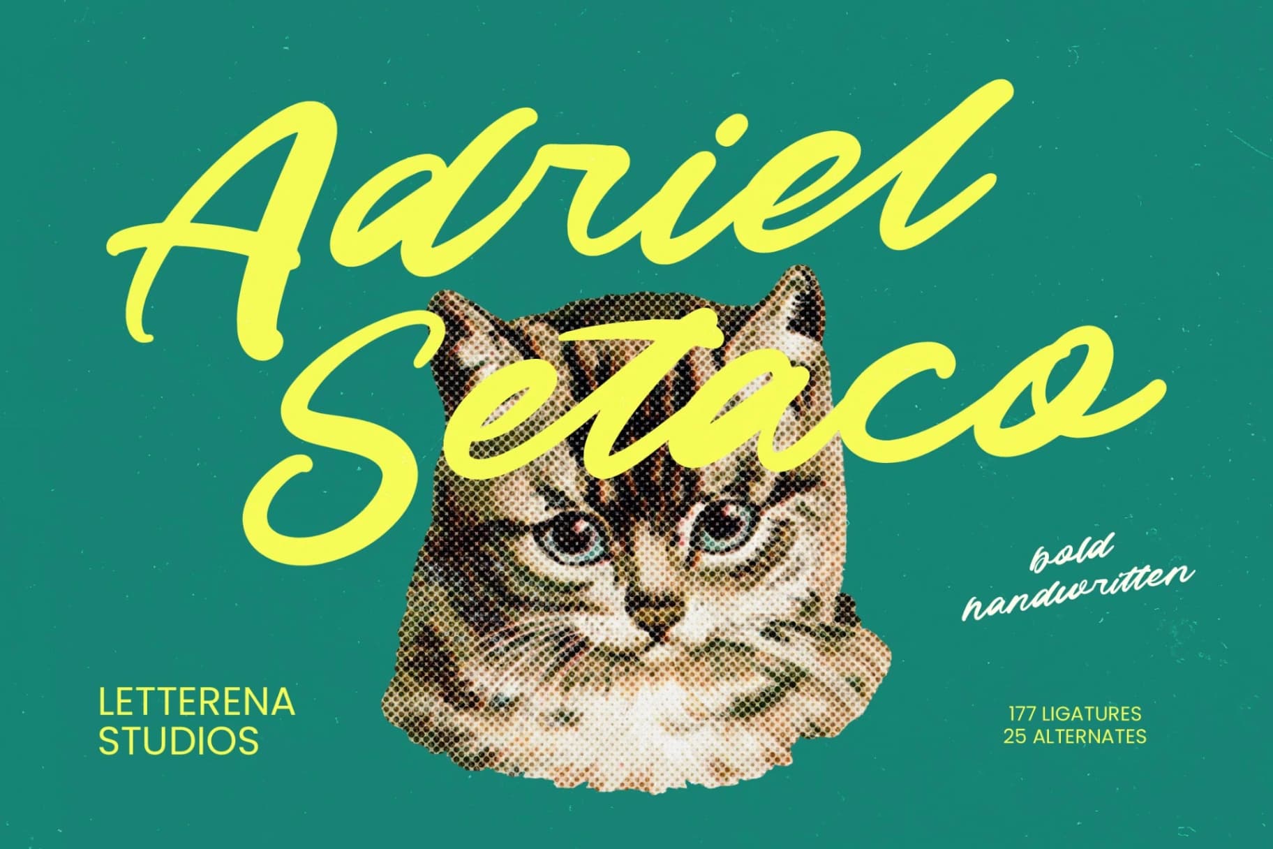 Preview 1 for Adriel Setaco - Bold Handwritten