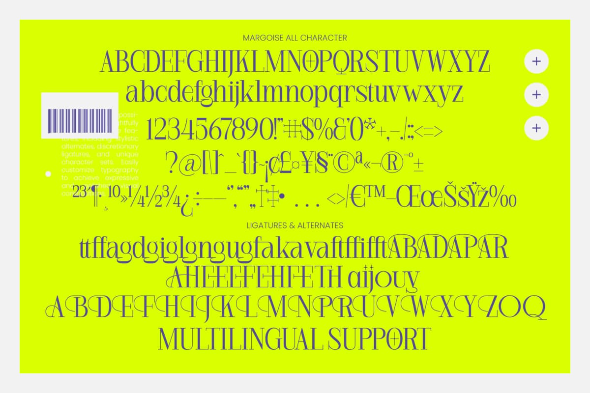 Margoise - Modern Display Serif Font font preview 10