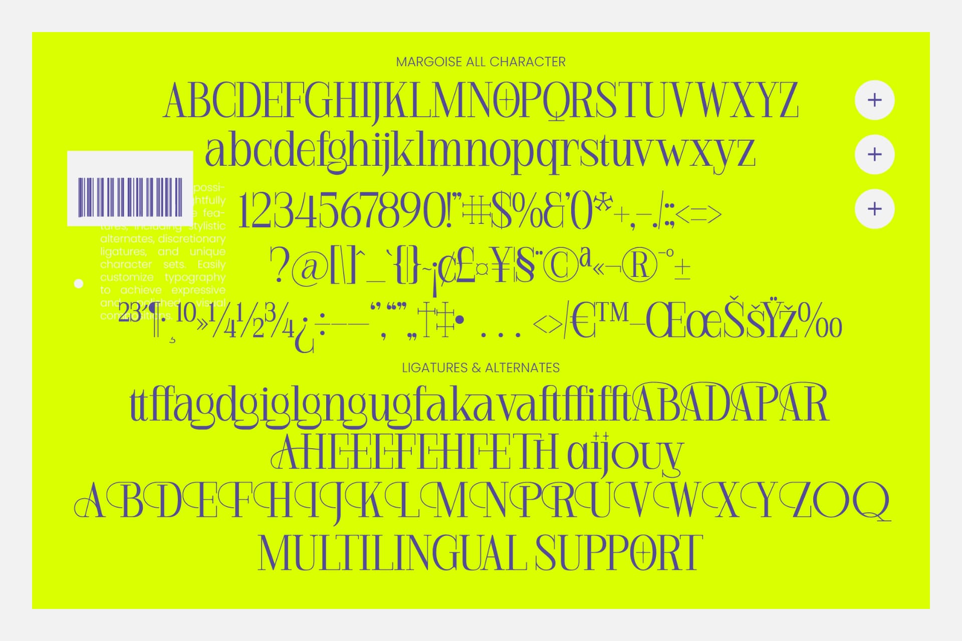 Preview 10 for Margoise - Modern Display Serif Font