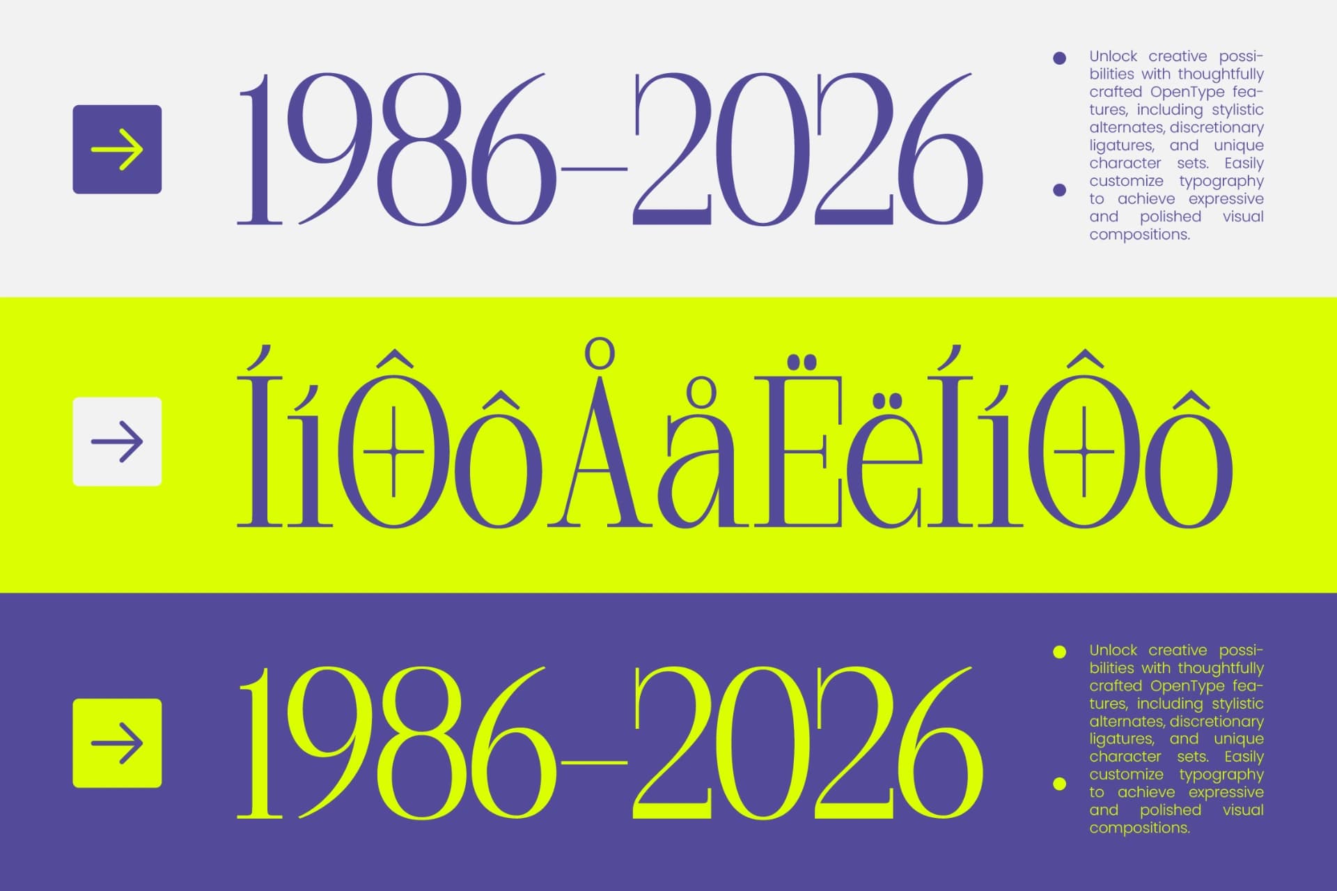 Preview 6 for Margoise - Modern Display Serif Font