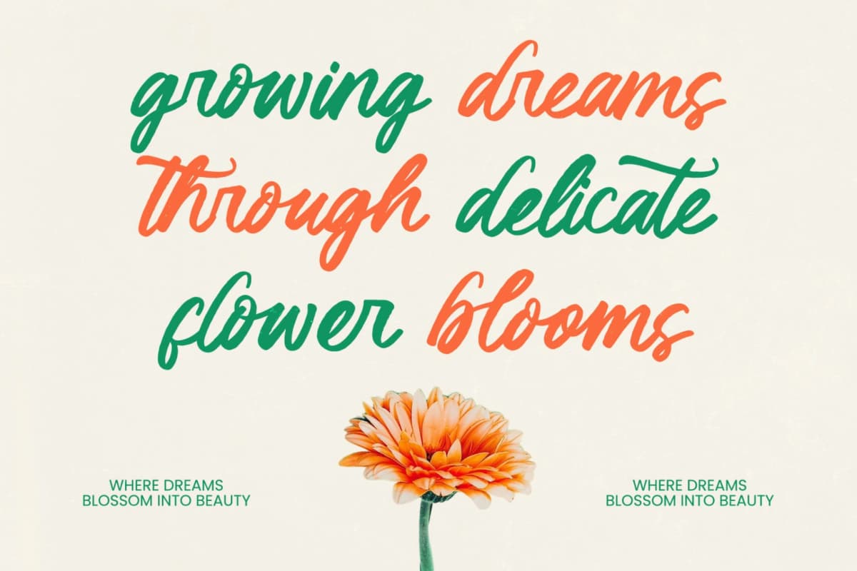 Klaribela - Bold Calligraphy Font font preview 2