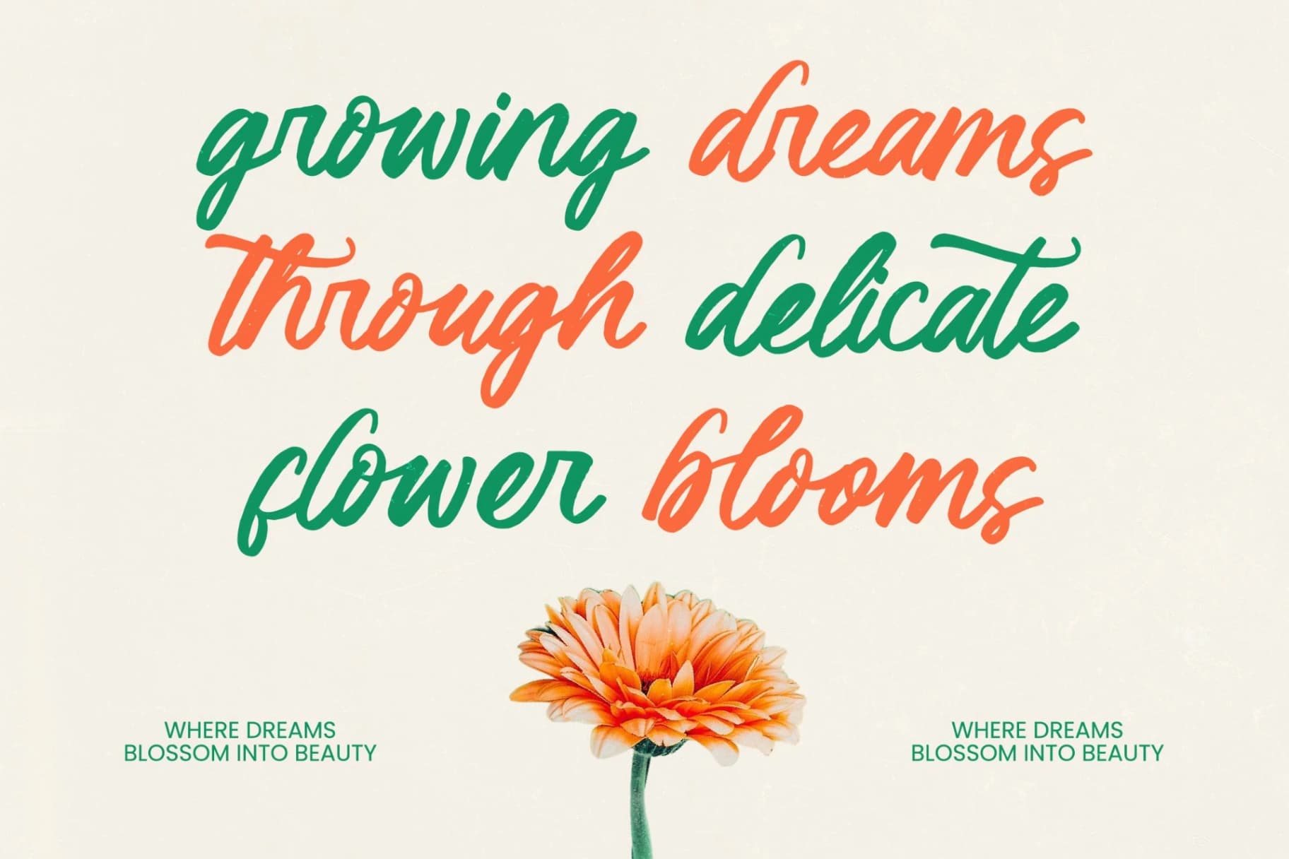 Preview 2 for Klaribela - Bold Calligraphy Font