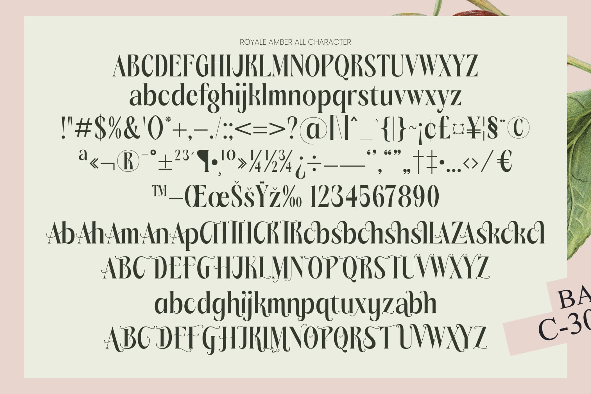 Preview 10 for Royale Ambers - Editorial Serif