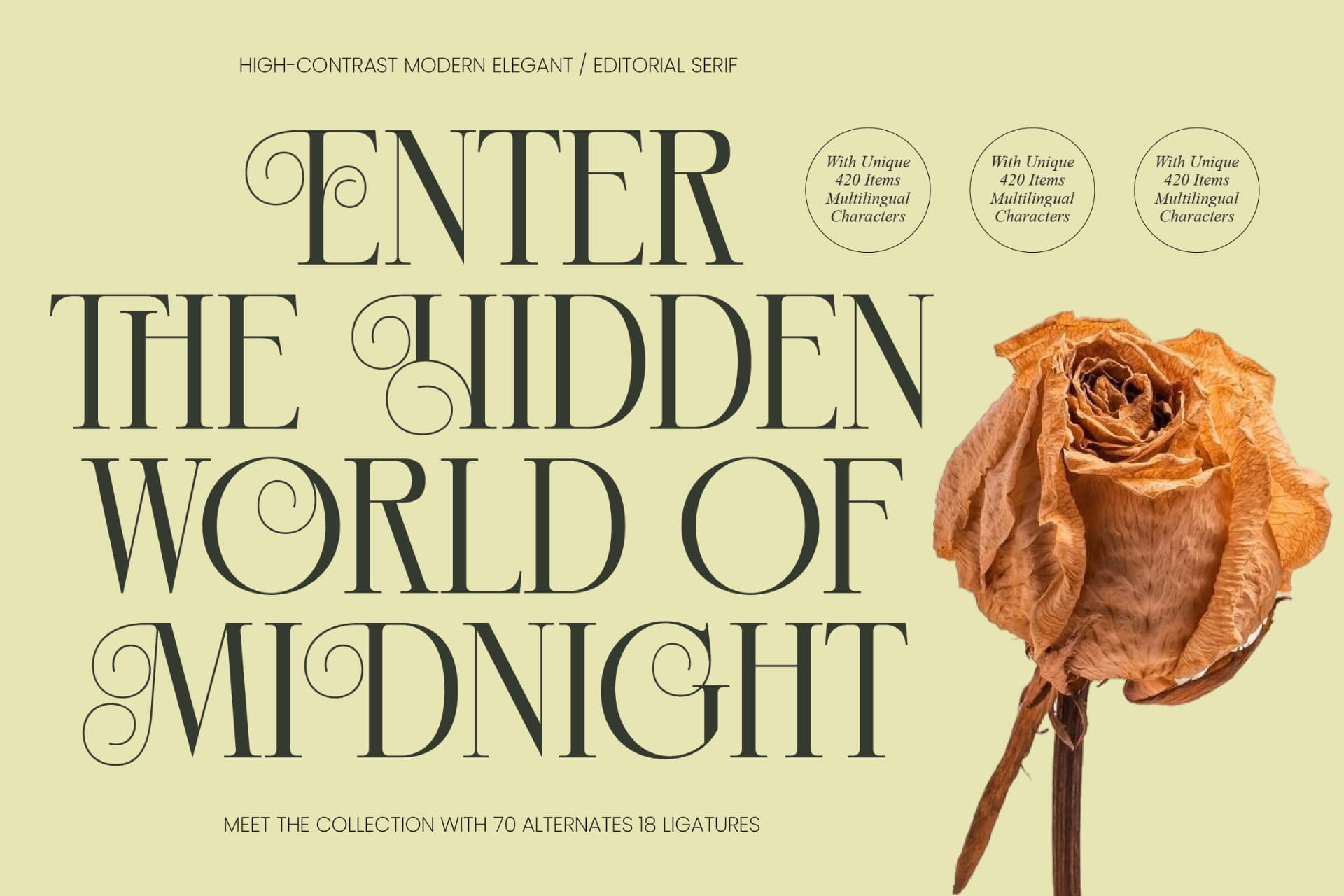 Preview of Hidden Midnight - Modern Elegant Serif font