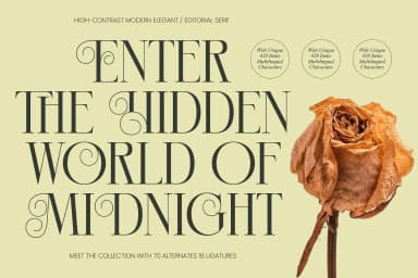 Hidden Midnight - Modern Elegant Serif