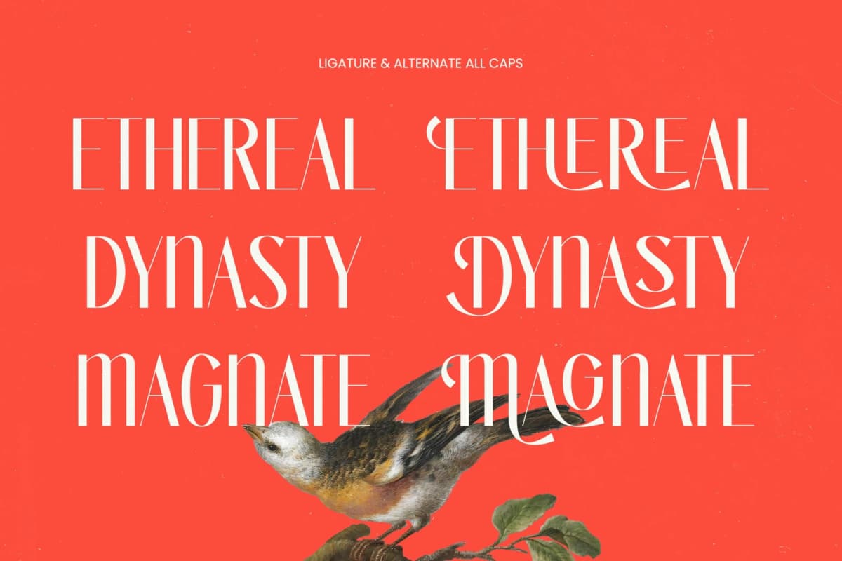 Bragute - Sans Serif Display font preview 4