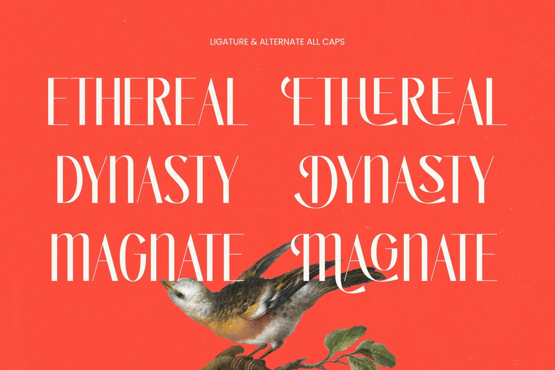 Preview 4 for Bragute - Sans Serif Display