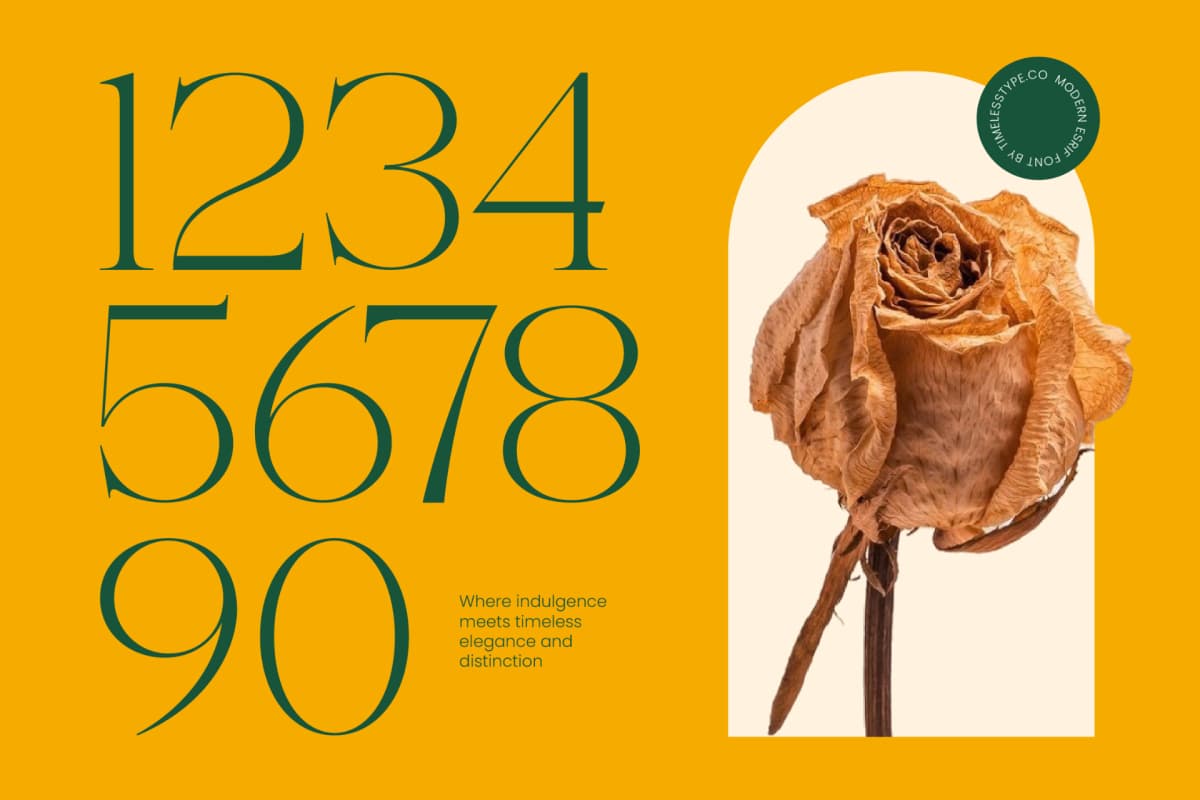 Cednight - High-Contrast Modern Serif font preview 9