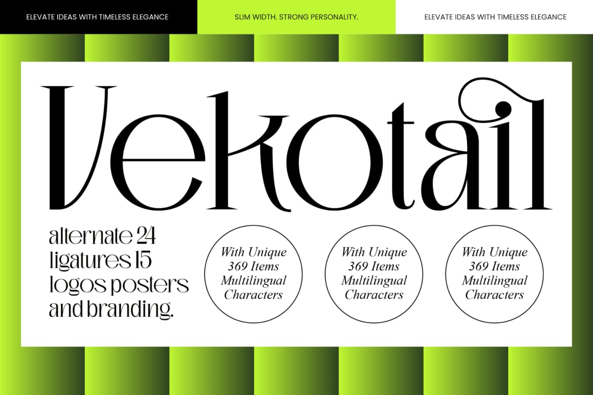 Preview 1 for Vekotail – Modern Display Serif