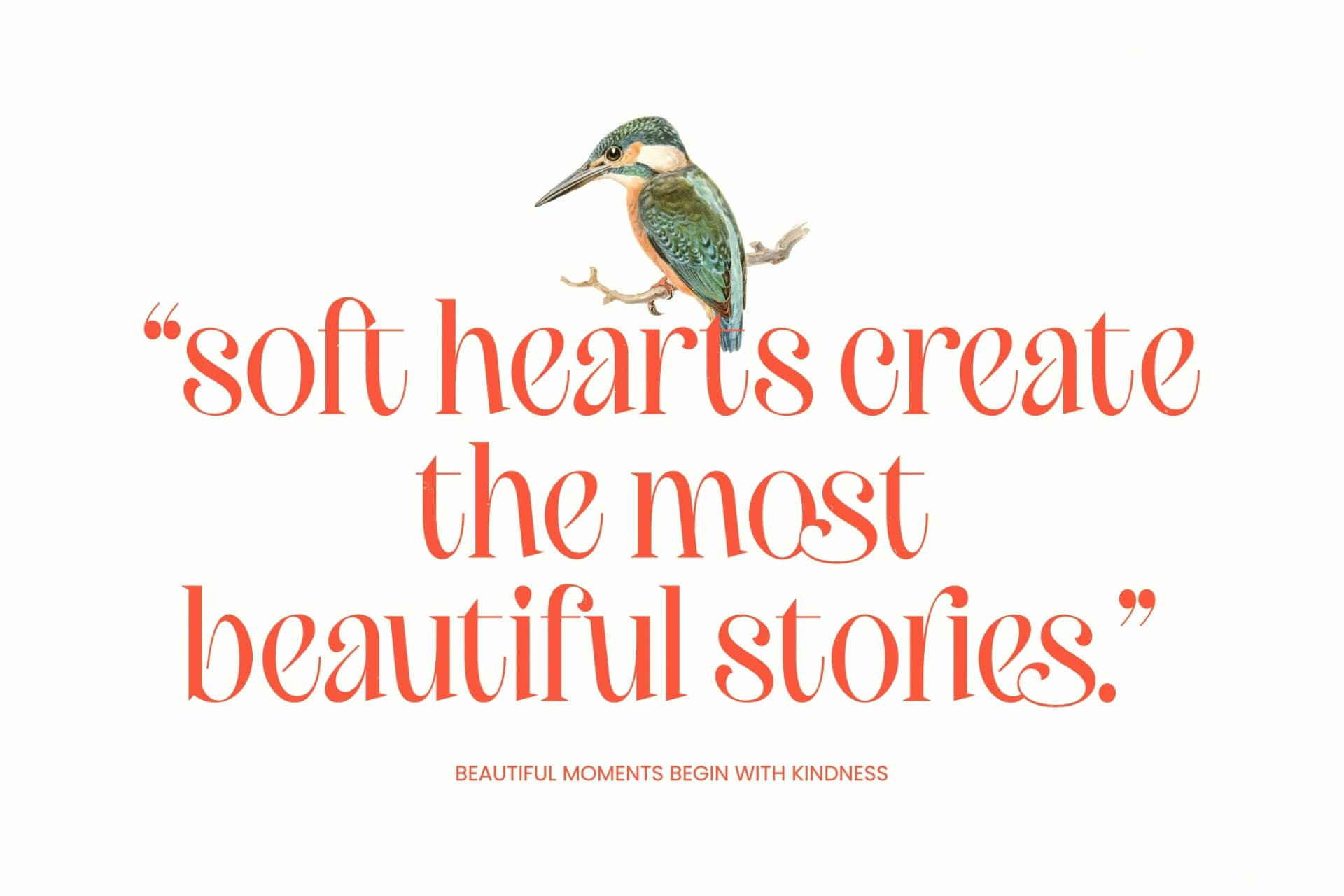 Preview 9 for Brasky – Modern Serif Display