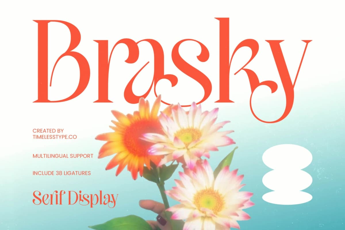 Brasky – Modern Serif Display font preview