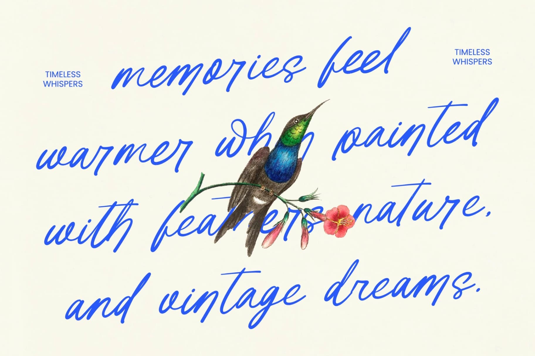 Preview 6 for Tender Natural - Handwritten Ink Font