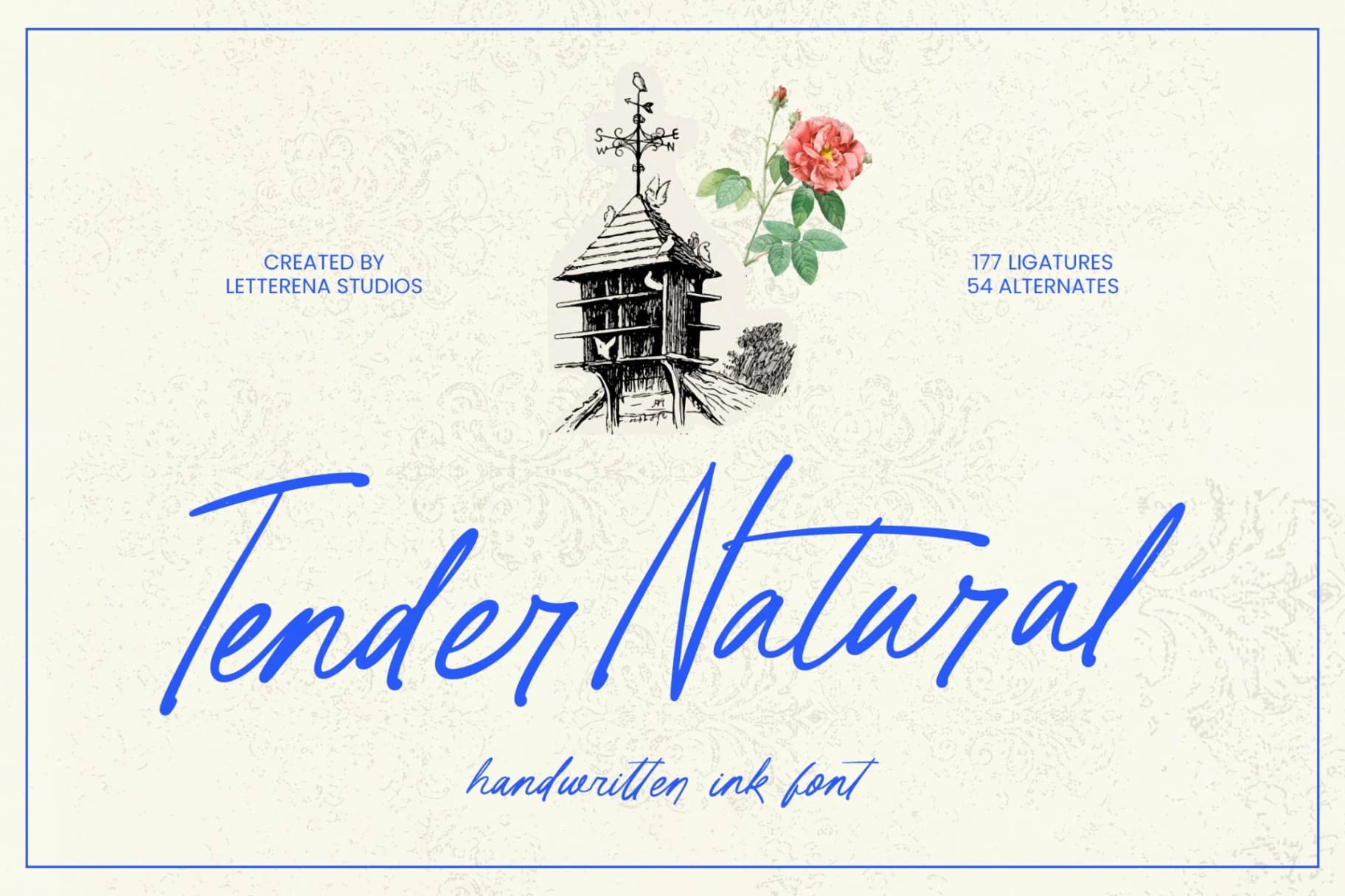 Preview of Tender Natural - Handwritten Ink Font font